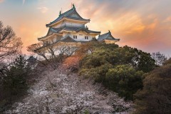 成都蓉城门将位置有双重保障，刘殿座与蹇韬双双发挥稳健，获赞连连